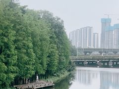 -顺峰山公园