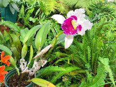 -国家植物园南园