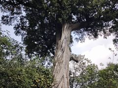 -金堂县云顶石城风景区