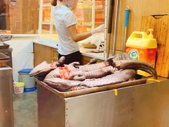 -印象鲵宴·张家界地标美食名片(溪布街店)