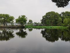 -无锡蠡湖国家湿地公园-蠡园