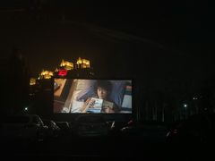 -枫花园汽车电影院(朝阳公园店)