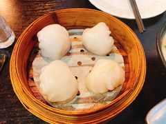 添运来虾饺皇-添运来(茶园奥园广场店)