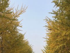 -辽宁大学(崇山校区)