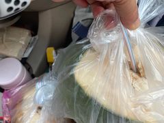 -东郊椰林