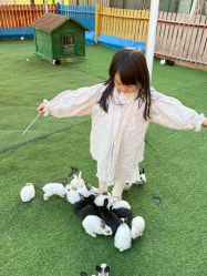 -萌宠亲子动物乐园(槐房万达店)