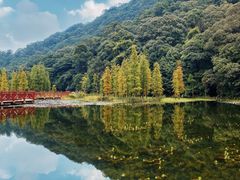 -广州市石门国家森林公园