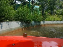 -济南方特东方神画