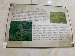 -丹噶尔古城