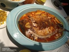 -阿五黄河大鲤鱼(英协路店)