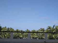 -三亚海棠湾喜来登度假酒店大堂吧
