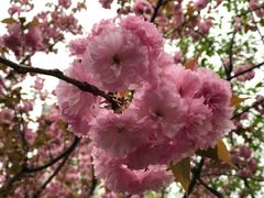 -苏州河梦清园环保主题公园