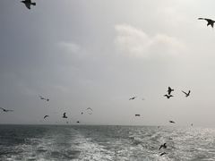 -海驴岛(荣成市)