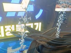 -喜井无限自助烤肉公司(石厦店)