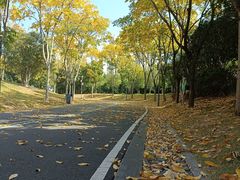 -牛岗山公园