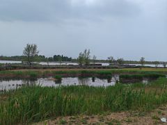 -野鸭湖国家湿地公园