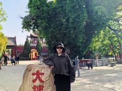 -大槐树寻根祭祖园