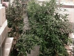 -滕头生态酒店(奉化店)