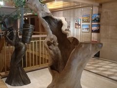 -阿斯牛牛·凉山菜(新会展店)