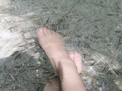 -碧水湾温泉