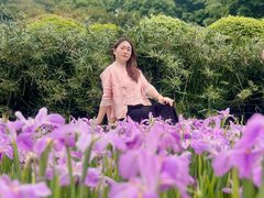 -龙头寺公园