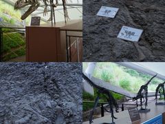 -重庆云阳龙缸景区