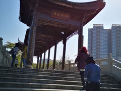 -飞来湖湿地公园