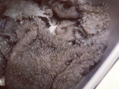-海底捞火锅(顺义华联店)