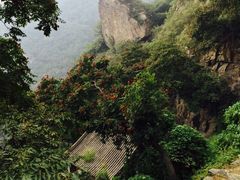 -北京鹫峰国家森林公园
