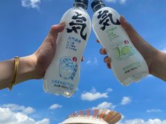 -光明小镇欢乐田园