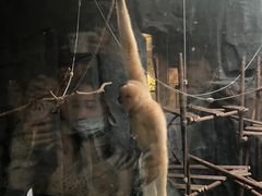 -武汉动物园