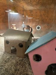 -酷嗒动物文化乐园(cutezoo西溪乐天城店)