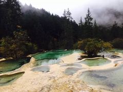 -黄龙山原始森林景区