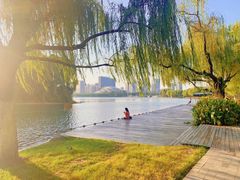 -天鹅湖体育公园
