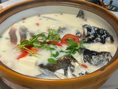 -全乐鱼馆·淳牌有机鱼直营店
