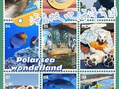 -海合安武汉极地海洋公园