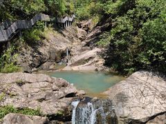 -广州白江湖森林公园