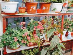 -北京龙庆四季香农家饭庄·灶台鱼·碳烤虹鳟鱼(龙庆峡店)