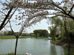 -尚贤河湿地