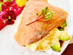 -Magnet磁食(同德店)