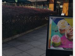 -星巴克(西藏路店)