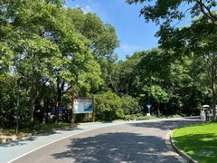 -吴淞炮台湾湿地森林公园烧烤区
