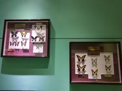 -上海昆虫博物馆