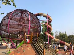 -枫香湖儿童公园