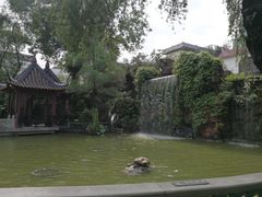 -碧江金楼