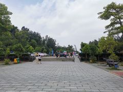 -广东惠东海龟国家级自然保护区