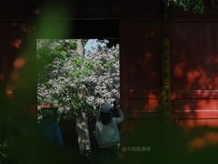 -吴山景区
