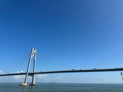 -招商蛇口邮轮母港(观光客运)