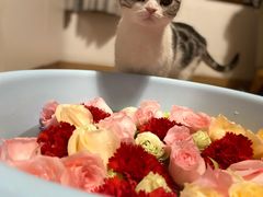 -海底捞火锅(龙湖北京大兴天街店)