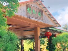 -兴隆槟榔园休闲农庄
